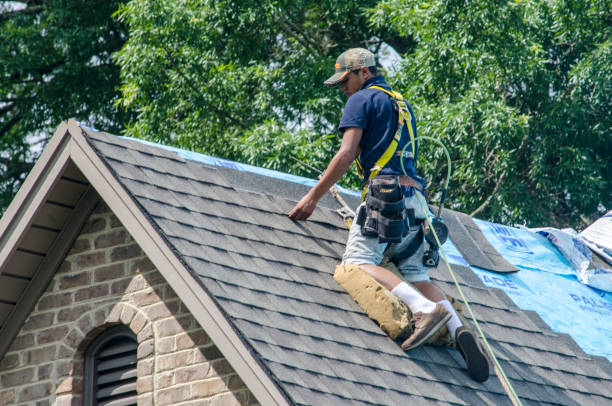 Roof Waterproofing Services in Fowlkes, TN